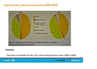 Evolução das culturas temporárias (1999-2009)
Exercício
- Descreve a evolução da SAU, por culturas temporárias, entre 1999 e 2009.
 
