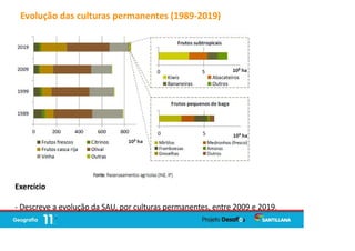 Evolução das culturas permanentes (1989-2019)
Exercício
- Descreve a evolução da SAU, por culturas permanentes, entre 2009 e 2019.
 
