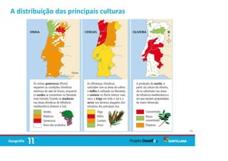 A distribuição das principais culturas
46
 
