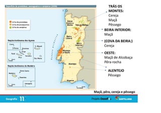 Maçã, pêra, cereja e pêssego
OESTE:
Maçã de Alcobaça
Pêra-rocha
(COVA DA BEIRA:)
Cereja
TRÁS OS
MONTES:
Cereja
Maçã
Pêssego
BEIRA INTERIOR:
Maçã
ALENTEJO
Pêssego
 