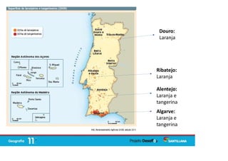 Douro:
Laranja
Ribatejo:
Laranja
Alentejo:
Laranja e
tangerina
Algarve:
Laranja e
tangerina
 