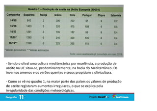 - Sendo o olival uma cultura mediterrânica por excelência, a produção de
azeite na UE situa-se, predominantemente, na bacia do Mediterrâneo. Os
invernos amenos e os verões quentes e secos propiciam a olivicultura.
- Como se vê no quadro 1, na maior parte dos países os valores de produção
de azeite registaram aumentos irregulares, o que se explica pela
irregularidade das condições meteorológicas.
 