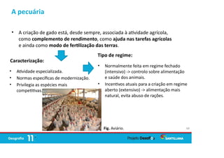 A pecuária
• A criação de gado está, desde sempre, associada à a vidade agrícola,
como complemento de rendimento, como ajuda nas tarefas agrícolas
e ainda como modo de fer lização das terras.
68
Caracterização:
• A vidade especializada.
• Normas especíﬁcas de modernização.
• Privilegia as espécies mais
compe vas.
Tipo de regime:
• Normalmente feita em regime fechado
(intensivo) -> controlo sobre alimentação
e saúde dos animais.
• Incen vos atuais para a criação em regime
aberto (extensivo) -> alimentação mais
natural, evita abuso de rações.
Fig. Aviário.
 