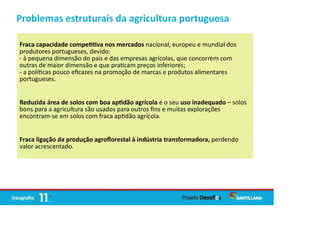 Fraca capacidade compe va nos mercados nacional, europeu e mundial dos
produtores portugueses, devido:
- à pequena dimensão do país e das empresas agrícolas, que concorrem com
outras de maior dimensão e que pra cam preços inferiores;
- a polí cas pouco eﬁcazes na promoção de marcas e produtos alimentares
portugueses.
Reduzida área de solos com boa ap dão agrícola e o seu uso inadequado – solos
bons para a agricultura são usados para outros ﬁns e muitas explorações
encontram-se em solos com fraca ap dão agrícola.
Fraca ligação da produção agroﬂorestal à indústria transformadora, perdendo
valor acrescentado.
Problemas estruturais da agricultura portuguesa
 