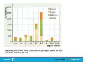 Efe vos de gado bovino, ovino, caprino e suíno, por região agrária, em 2018.
Fonte: Dados esta s cos, INE, 2019.
 