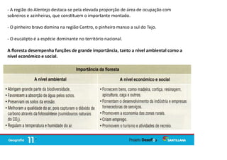 - A região do Alentejo destaca-se pela elevada proporção de área de ocupação com
sobreiros e azinheiras, que cons tuem o importante montado.
- O pinheiro bravo domina na região Centro, o pinheiro manso a sul do Tejo.
- O eucalipto é a espécie dominante no território nacional.
A ﬂoresta desempenha funções de grande importância, tanto a nível ambiental como a
nível económico e social.
 