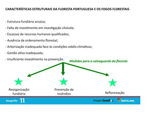 CARACTERÍSTICAS ESTRUTURAIS DA FLORESTA PORTUGUESA E OS FOGOS FLORESTAIS
- Estrutura fundiária arcaica;
- Falta de inves mento em inves gação silvícola;
- Escassez de recursos humanos qualiﬁcados;
- Ausência de ordenamento ﬂorestal;
- Arborização inadequada face às condições edafo-climá cas;
- Gestão a va inadequada;
- Insuﬁciente inves mento na prevenção.
Medidas para a salvaguarda da ﬂoresta
Reorganização
fundiária
Prevenção de
incêndios Reﬂorestação
 