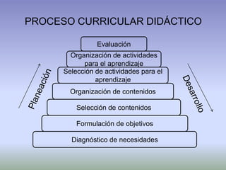 PROCESO CURRICULAR DIDÁCTICO

                Evaluación
        Organización de actividades
            para el aprendizaje
      Selección de actividades para el
                aprendizaje
        Organización de contenidos

          Selección de contenidos

          Formulación de objetivos

        Diagnóstico de necesidades
 