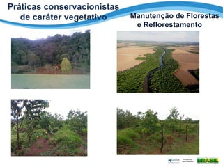 Práticas conservacionistas
de caráter vegetativo Manutenção de Florestas
e Reflorestamento
 