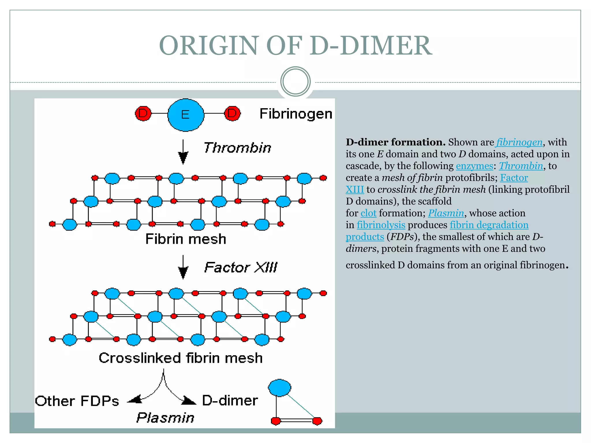 ORIGIN OF D-DIMER
D-dimer formation. Shown are fibrinogen, with
its one E domain and two D domains, acted upon in
cascade, by the following enzymes: Thrombin, to
create a mesh of fibrin protofibrils; Factor
XIII to crosslink the fibrin mesh (linking protofibril
D domains), the scaffold
for clot formation; Plasmin, whose action
in fibrinolysis produces fibrin degradation
products (FDPs), the smallest of which are D-
dimers, protein fragments with one E and two
crosslinked D domains from an original fibrinogen.
 