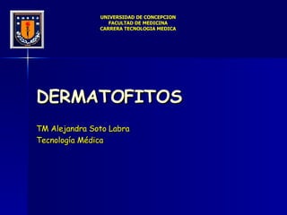 DERMATOFITOS TM Alejandra Soto Labra Tecnología Médica UNIVERSIDAD DE CONCEPCION FACULTAD DE MEDICINA CARRERA TECNOLOGIA MEDICA 