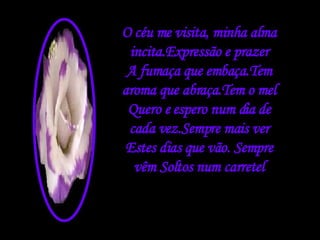 O céu me visita, minha alma incita.Expressão e prazer A fumaça que embaça.Tem aroma que abraça.Tem o mel Quero e espero num dia de cada vez.Sempre mais ver Estes dias que vão. Sempre vêm Soltos num carretel 