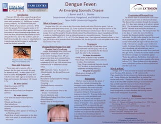 Dengue Fever: An Emerging Zoonotic Disease J. Boren and R. L. Stanko Department of Animal, Rangeland, and Wildlife Sciences Texas A&M University-Kingsville Introduction There are 50-100 million cases of dengue fever (DF) every year world-wide with about 36 million cases with symptoms [1].  24,000 end in death (mainly children).  For more than 150 years before WWII, DF was not very common.  WWII led to the spread of the mosquito vector of DF.  From 1950-1970 control efforts were in place in the Americas which lessened dengue fever, but since that time, the disease has spread to much of South America and to the southern parts of North America [2].  An increase in urbanization in tropical areas and an increase in world-wide travel has further spread DF. Progression of Dengue Fever      The disease starts its transmission cycle when an Aedes mosquito bites an infected individual.  The disease then circulates through the mosquito and, 5-12 days later, ends up in its salivary glands [4,5].  The incubation time (“extrinsic incubation period”) needed in the mosquito decreases as temperatures increase [3].   The mosquito then has a few days or weeks (the rest of its life) to transmit the disease to another susceptible individual.  On d 4-6 after being bit, the fever and other symptoms begin to appear.  In the less severe forms of DF, the signs will last about one week.  Full recovery usually occurs within two weeks.  In dengue hemorrhagic fever and dengue shock syndrome, an individual may start to recover a few days after the initial fever onset and then get worse.  Usually the second round is when the more severe signs and symptoms appear.  “Some [people] may feel listless, tired, and even depressed for several weeks to months after being infected” [5].  There is about a five-day window when a mosquito can bite an infected person and start the cycle over. What is Dengue Fever?     Dengue fever (DF) is a virus in the Flaviviridae family and in the Flavivirus genus.  It is an “arbovirus (arthropod-borne virus)” [3].  Virus is passed on mainly through mosquito vectors in the Aedes species and with genus aegypti.  The Center for Disease Control [3] says that in rare cases, dengue fever can be spread by blood-to-blood contact, blood transfusions, organ transplants, and from a mother to child during birth, from an infected person to a susceptible person.  There are four “serotypes (called DENV-1-2, -3, -4)” [3] of the dengue virus.  Once a person becomes infected by one type, he or she will be protected from that strand for life, but that person is still susceptible to the other three forms of the virus. Treatments      There is no cure for DF and there is not yet a marketable vaccine [4,5]. Since it is a virus, there are no treatments for the disease itself, but only for the symptoms.  At-home treatments:  ,[object Object]