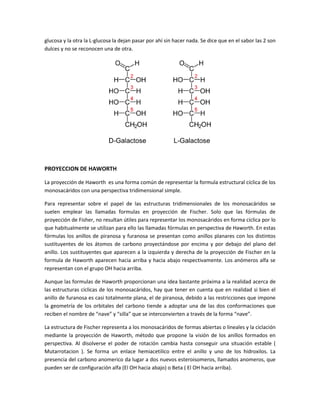 glucosa y la otra la L-glucosa la dejan pasar por ahí sin hacer nada. Se dice que en el sabor las 2 son
dulces y no se reconocen una de otra.




PROYECCION DE HAWORTH

La proyección de Haworth es una forma común de representar la formula estructural cíclica de los
monosacáridos con una perspectiva tridimensional simple.

Para representar sobre el papel de las estructuras tridimensionales de los monosacáridos se
suelen emplear las llamadas formulas en proyección de Fischer. Solo que las fórmulas de
proyección de Fisher, no resultan útiles para representar los monosacáridos en forma cíclica por lo
que habitualmente se utilizan para ello las llamadas fórmulas en perspectiva de Haworth. En estas
fórmulas los anillos de piranosa y furanosa se presentan como anillos planares con los distintos
sustituyentes de los átomos de carbono proyectándose por encima y por debajo del plano del
anillo. Los sustituyentes que aparecen a la izquierda y derecha de la proyección de Fischer en la
formula de Haworth aparecen hacia arriba y hacia abajo respectivamente. Los anómeros alfa se
representan con el grupo OH hacia arriba.

Aunque las formulas de Haworth proporcionan una idea bastante próxima a la realidad acerca de
las estructuras cíclicas de los monosacáridos, hay que tener en cuenta que en realidad si bien el
anillo de furanosa es casi totalmente plana, el de piranosa, debido a las restricciones que impone
la geometría de los orbitales del carbono tiende a adoptar una de las dos conformaciones que
reciben el nombre de “nave” y “silla” que se interconvierten a través de la forma “nave”.

La estructura de Fischer representa a los monosacáridos de formas abiertas o lineales y la ciclación
mediante la proyección de Haworth, método que propone la visión de los anillos formados en
perspectiva. Al disolverse el poder de rotación cambia hasta conseguir una situación estable (
Mutarrotacion ). Se forma un enlace hemiacetilico entre el anillo y uno de los hidroxilos. La
presencia del carbono anomerico da lugar a dos nuevos esteroisomeros, llamados anomeros, que
pueden ser de configuración alfa (El OH hacia abajo) o Beta ( El OH hacia arriba).
 