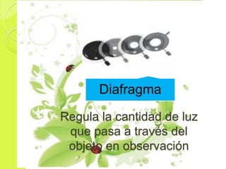 Diafragma
Regula la cantidad de luz
 que pasa a través del
 objeto en observación
 