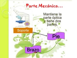 Parte Mecánica…
             Mantiene la
             parte óptica
             y tiene dos
               partes.
Soporte
                  Pie

     Brazo
 