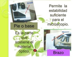 Permite la
               estabilidad
                suficiente
                 para el
              microscopio.
Pie o base
Es la parte
    que
sostiene el
 material
  óptico.        Brazo
 