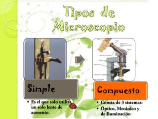 Simple   Compuesto

    .
 