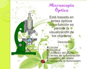 Microscopio
   Óptico
  Está basado en
   lentes ópticos
  cuya función es
      permitir la
  visualización de
    los objetivos
        Descripción:
A) ocular
B) objetivo
C) portador del objeto
D) lentes de la iluminación
E) sujeción del objeto
F) espejo de la iluminación.
 