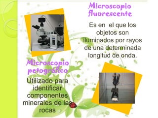 Microscopio
                    fluorescente
                       Es en el que los
                         objetos son
                   iluminados por rayos
                    de una determinada
                      longitud de onda.
 Microscopio
 petográfico
 Utilizado para
   identificar
 componentes
minerales de las
      rocas
 