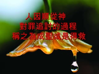 人因順從神 對罪追討的過程 稱之為成聖或是得救 