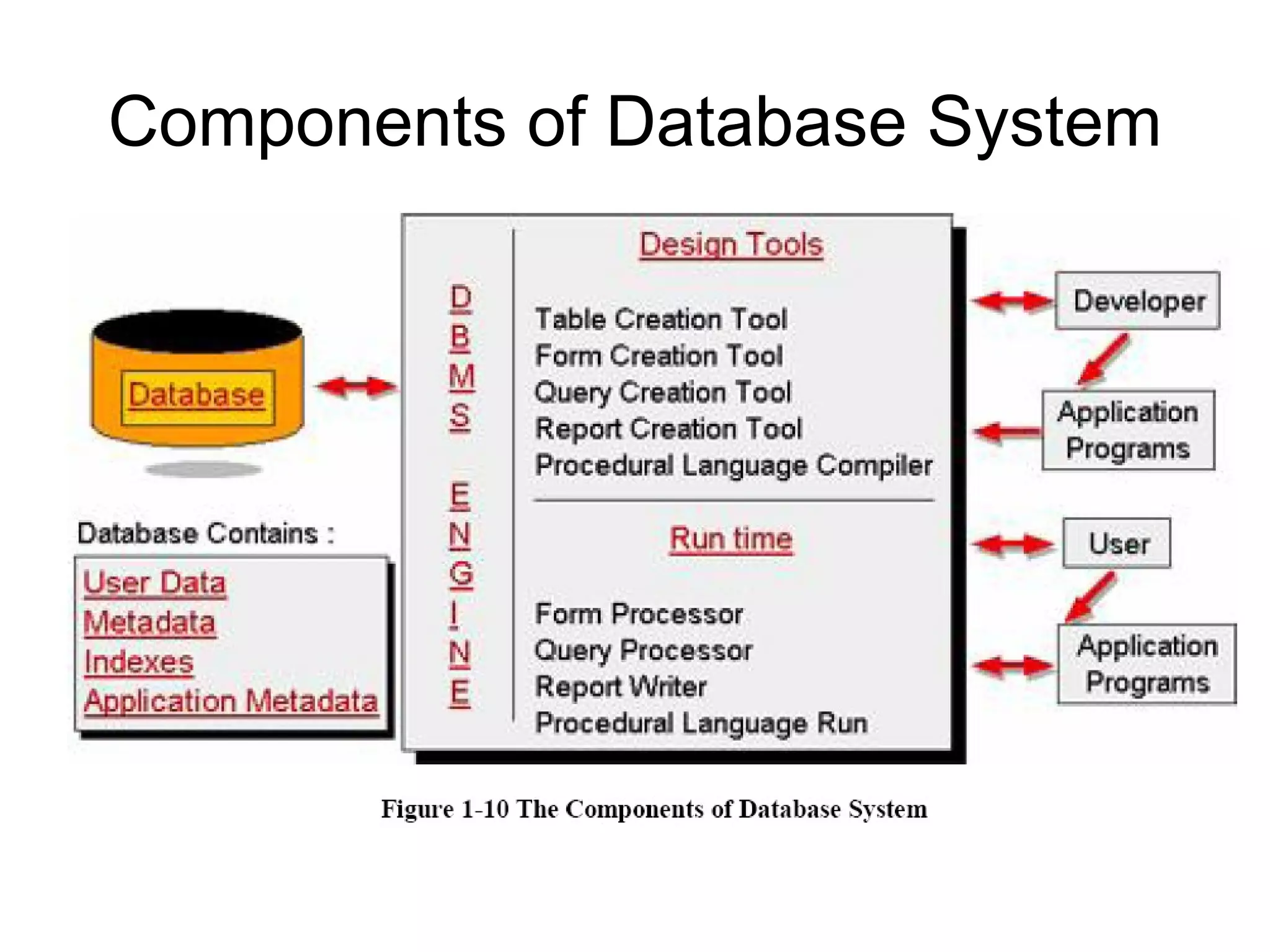Components of Database System 