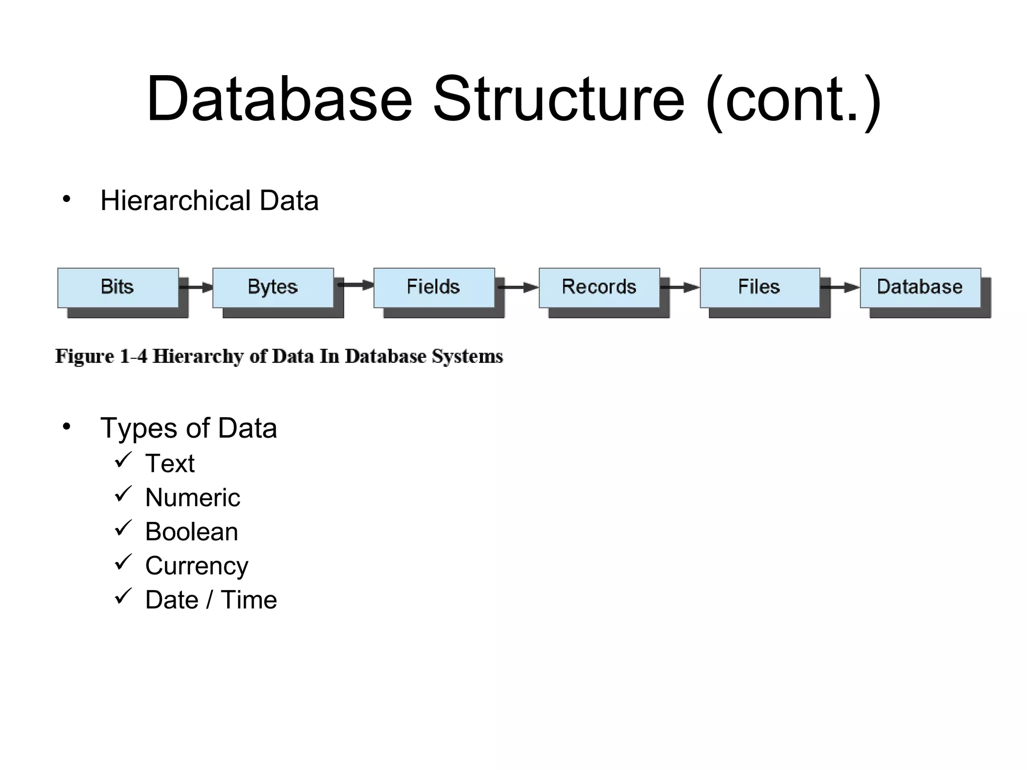 Database Structure (cont.) Hierarchical Data Types of Data Text Numeric Boolean Currency Date / Time 
