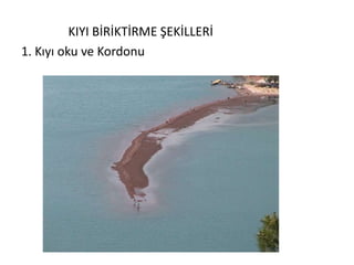 KIYI BİRİKTİRME ŞEKİLLERİ
1. Kıyı oku ve Kordonu
 