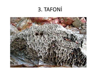 3. TAFONİ
 