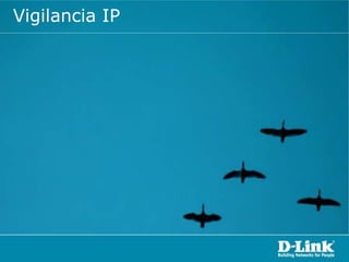 Vigilancia IP
 