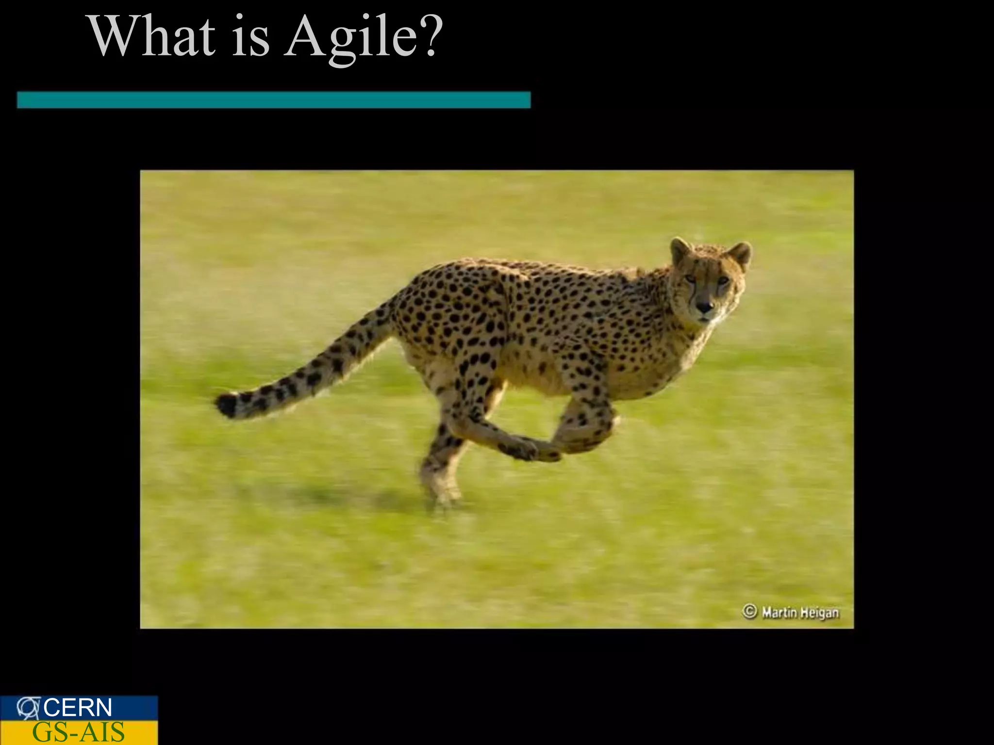 What is Agile?




CERN
GS-AIS
 