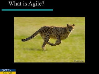 What is Agile?




CERN
GS-AIS
 