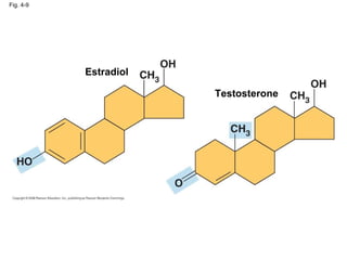 Fig. 4-9 Estradiol Testosterone 