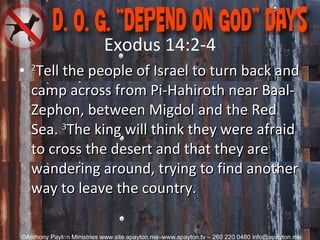 Exodus 14:2-4 2 Tell the people of Israel to turn back and camp across from Pi-Hahiroth near Baal-Zephon, between Migdol and the Red Sea.  3 The king will think they were afraid to cross the desert and that they are wandering around, trying to find another way to leave the country.  