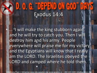 Exodus 14:4 …   4 I will make the king stubborn again, and he will try to catch you. Then I will destroy him and his army. People everywhere will praise me for my victory, and the Egyptians will know that I really am the LORD. The Israelites obeyed the LORD and camped where he told them.      