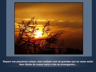 Repare nas pequenas coisas, mas cuidado com as grandes que as vezes estão bem diante do nosso nariz e não as enxergamos... 