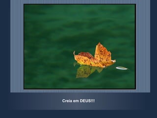 Creia em DEUS!!! 