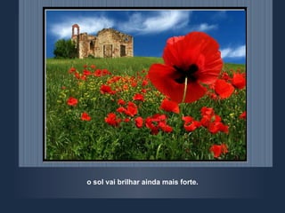 o sol vai brilhar ainda mais forte. 