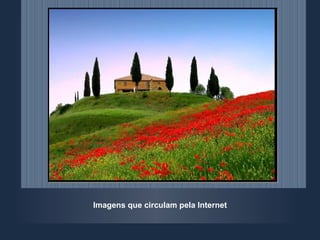 Imagens que circulam pela Internet 