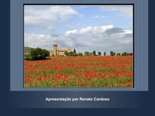 Apresentação por Renato Cardoso 