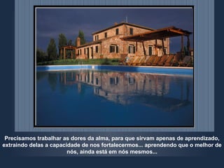 Precisamos trabalhar as dores da alma, para que sirvam apenas de aprendizado, extraindo delas a capacidade de nos fortalecermos... aprendendo que o melhor de nós, ainda está em nós mesmos... 