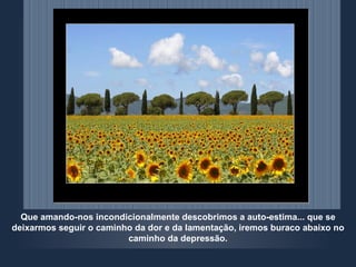 Que amando-nos incondicionalmente descobrimos a auto-estima... que se deixarmos seguir o caminho da dor e da lamentação, iremos buraco abaixo no caminho da depressão. 