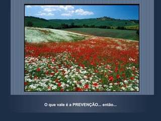 O que vale é a PREVENÇÃO... então... 