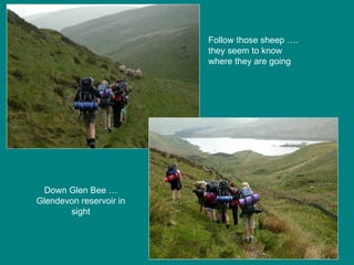 Follow those sheep …. they seem to know where they are going Down Glen Bee … Glendevon reservoir in sight 