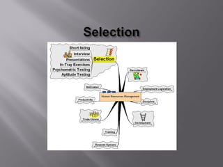 D  Part 10 Hr Management