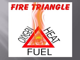 D  Part 6 Short Course By J Mc Cann