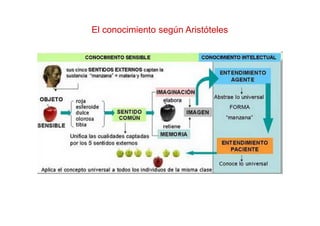 El conocimiento según Aristóteles
 