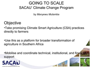 GOING TO SCALE
           SACAU’ Climate Change Program
                      by Manyewu Mutamba


Objective
•Take promising Climate Smart Agriculture (CSA) practices
directly to farmers

•Use this as a platform for broader transformation of
agriculture in Southern Africa

•Mobilise and coordinate technical, institutional, and financial
support
 