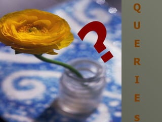Q U E R I E s ? 