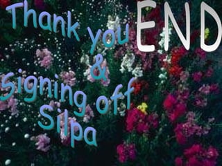 Thank you  & Signing off Silpa END 